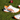 Cricket Shoes: How to Choose the Right Pair for Aussie Wickets (Spikes vs Rubber)