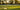 How to Choose a Cricket Bat (Size, Weight, Willow)