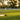 How to Choose a Cricket Bat (Size, Weight, Willow)