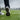 Golf shoes: spiked vs spikeless for winter rounds