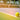 How to Choose a Tennis Ball: Match, Training and Junior Options