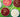 Cricket Balls