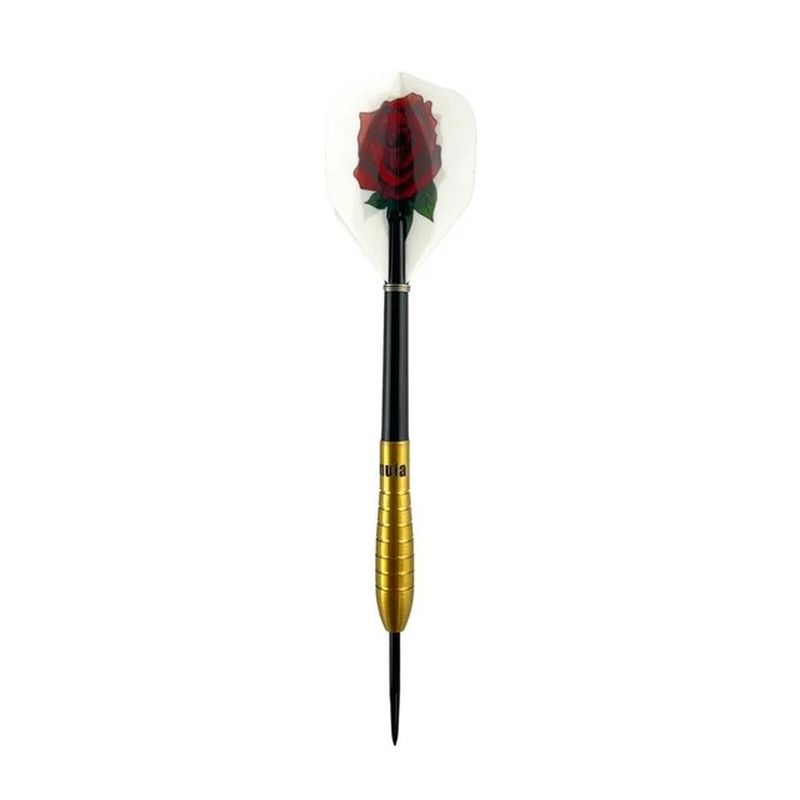 Formula Tony David Golden 90% Darts