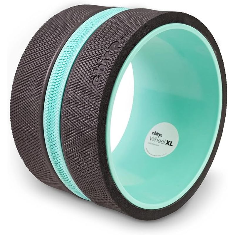 Chirp XL Wheel 10-inch Super Control