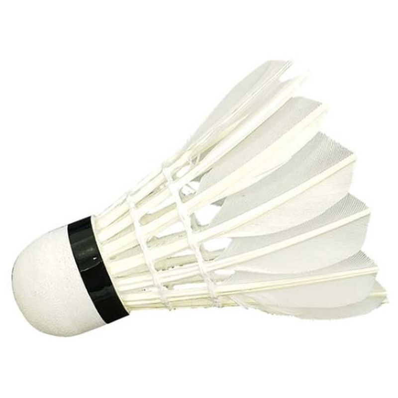 Wish 808 Training Shuttlecock