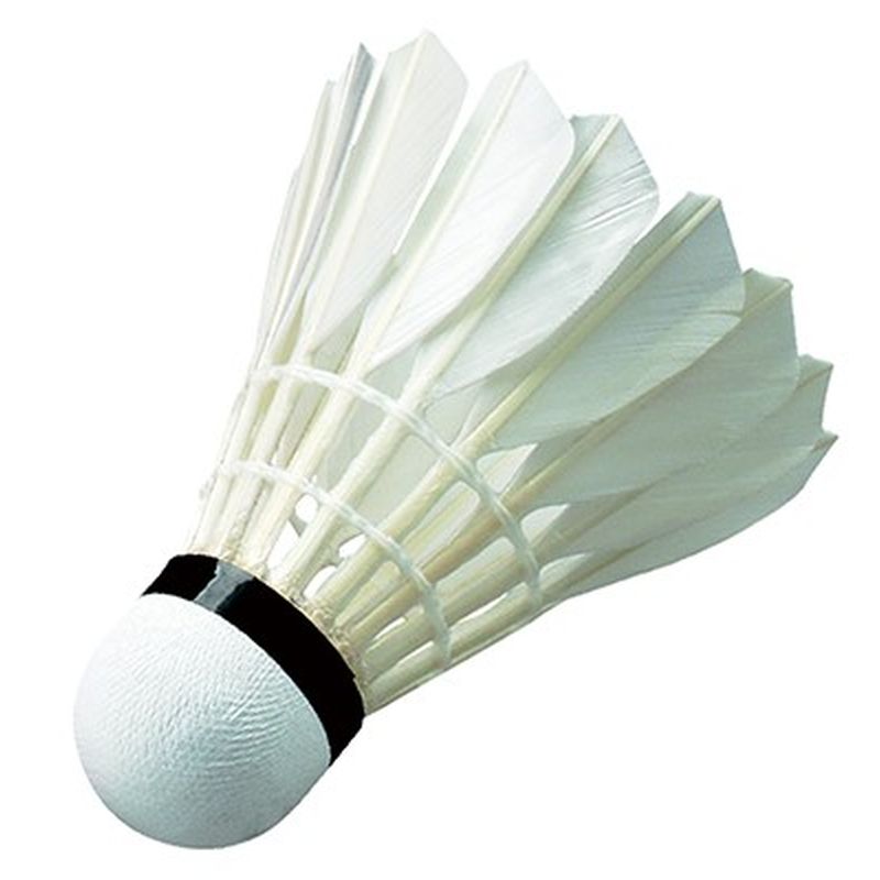 Wish W11 Training Shuttlecock