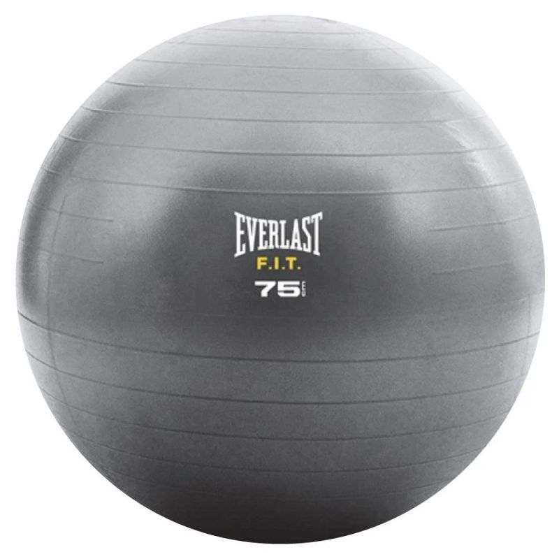 Everlast Core Strenght 75cm Ball