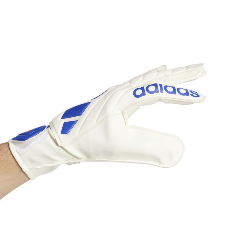 Adidas Copa Club Goalkeeper Gloves